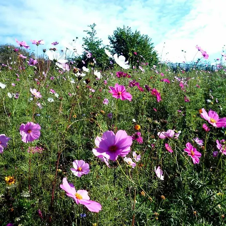 La Roche At Les Glycines With Pool,games Field In A Peaceful,rural Setting * Scille